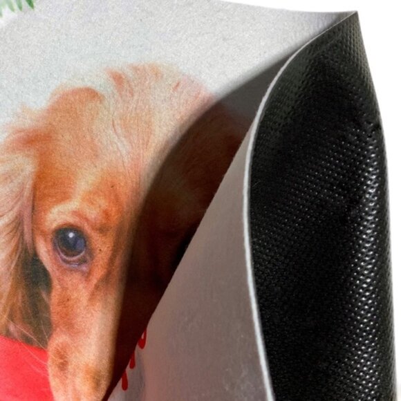 Holiday Doormat Puppy Dog Christmas Decor Rectangle 16 X 24 In Multicolor - Picture 8 of 15